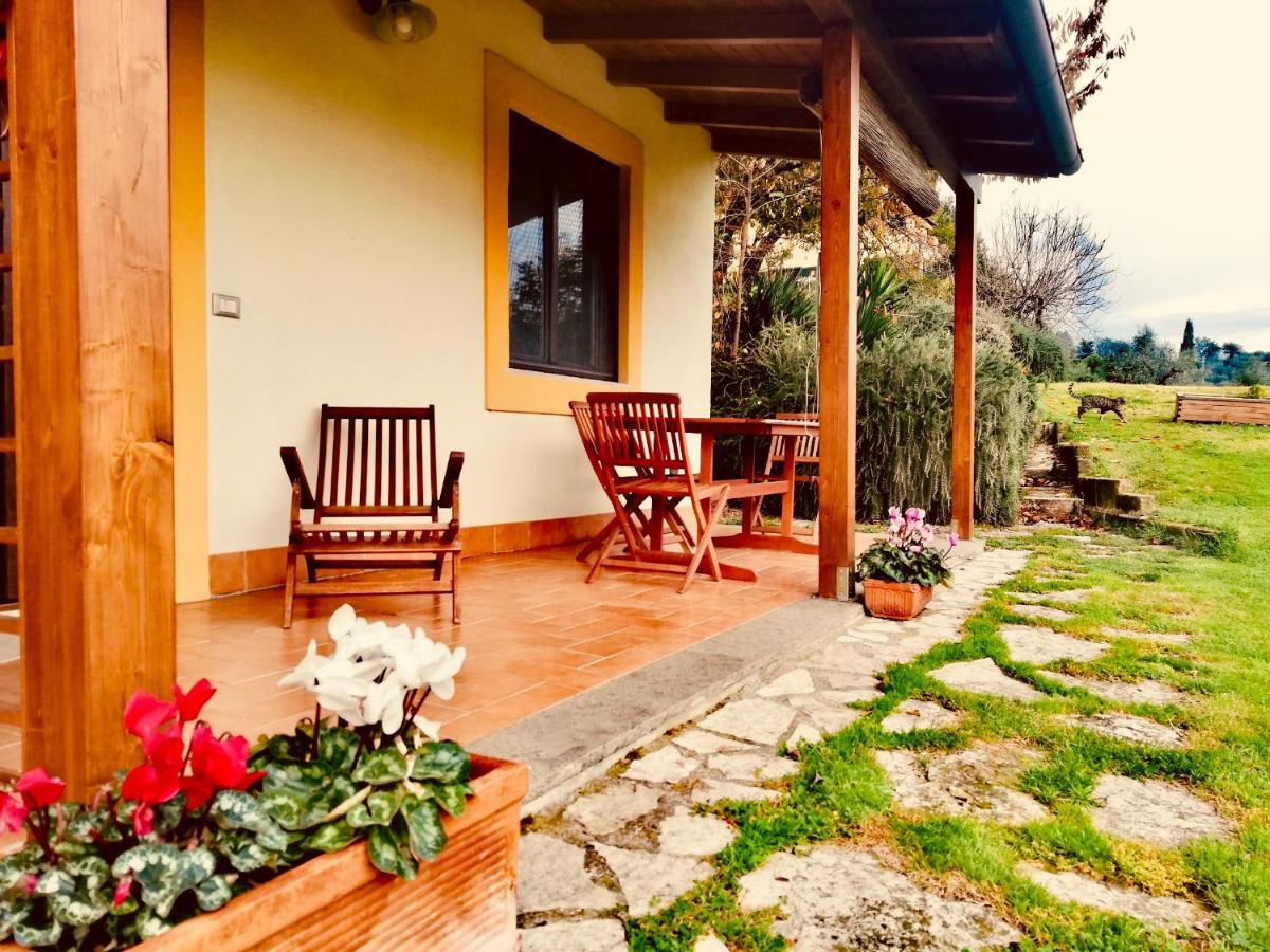 La Casa Nettarina ξενώνας Poggio Mirteto Εξωτερικό φωτογραφία